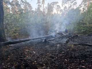 Waldbrand Leinrittschneise