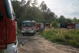 Waldbrand Tongrube