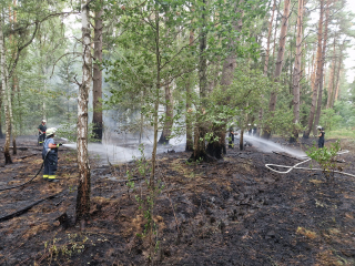 Waldbrand