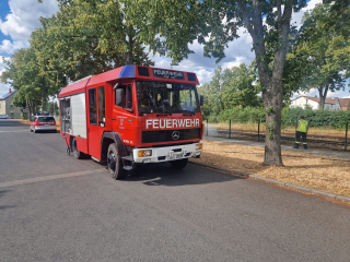 Grasfläche an Bahnanlage in Brand