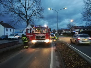 Baum beschädigt nach Verkehrsunfall