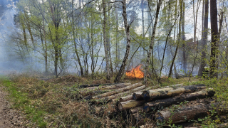 Waldbrand