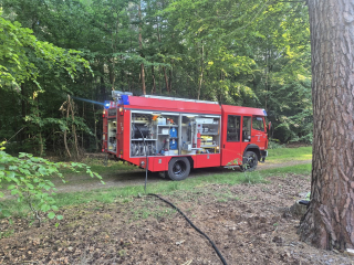 Waldbrand - Kleinbrand