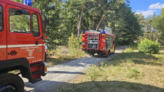 Waldbrand