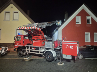 Katze auf Hausdach