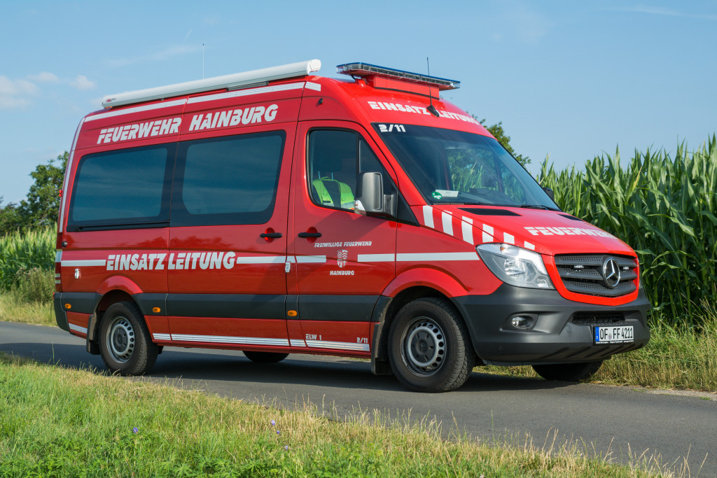 Unfall mit Kleintier